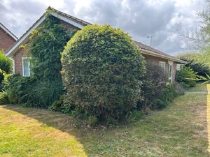 The property- click for photo gallery